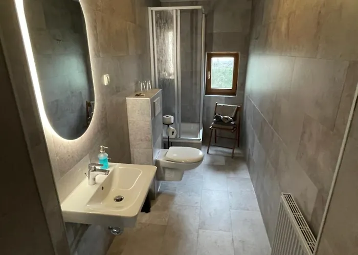 Hotel Zum Alten Krug 3*